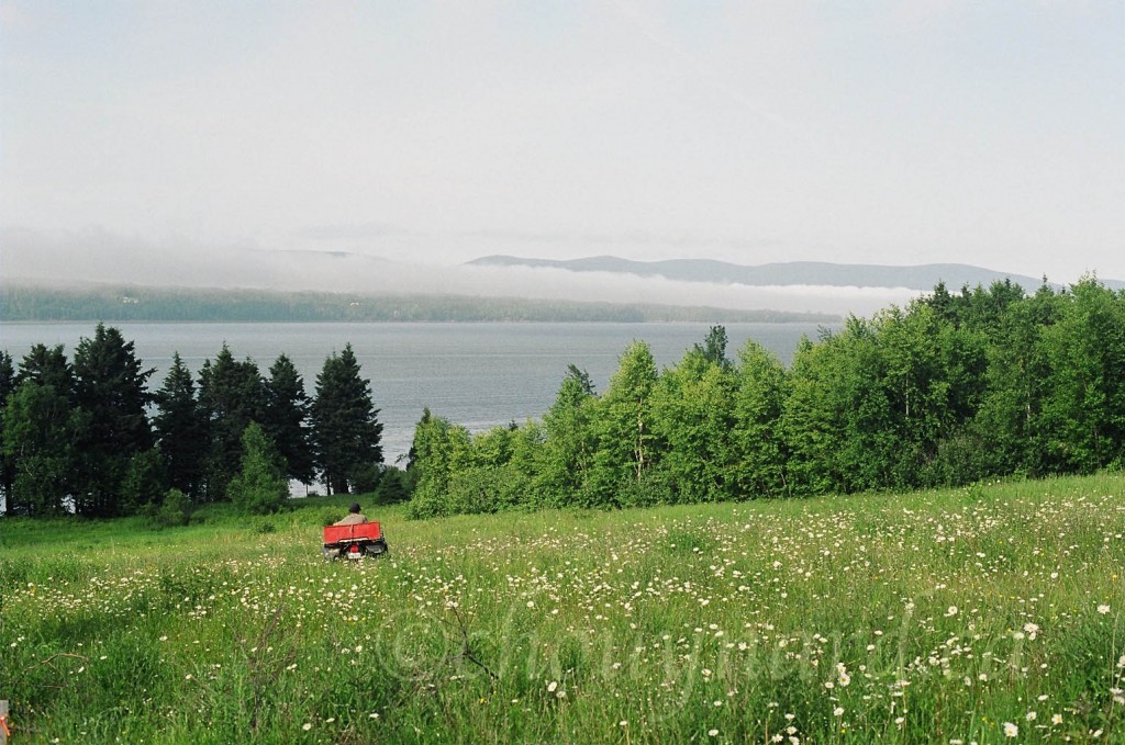 Vue depuis l’embouchure de la rivière Saint-Jean, un long ruban de brume envahit la Baie de Gaspé en longeant la côte du Parc Forillon. Photo prise en 2004